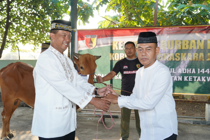 Brigjen TNI Terry Tresna Purnama menyerahkan secara simbolis seekor sapi kepada panitia qurban