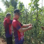 Rutan Tanah Grogot Panen Hasil Kebun Warga Binaan