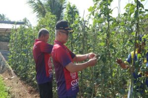 Rutan Tanah Grogot Panen Hasil Kebun Warga Binaan