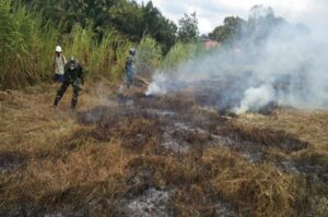 Lahan Seluas 10 Hektar di Longkali Kabupaten Paser Terbakar
