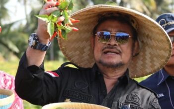 Cek yang ditemukan Komisi Pemberantasan Korupsi (KPK) dirumah mantan Menteri Pertanian Syahrul Yasin Limpo (SYL) teryata palsu.