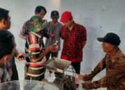 Demi Dongkrok Hasil Produksi, Dosen Untag Surabaya Dampingi Petani Kakao