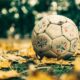 Arti dan Makna Mimpi Sedang Sepak Bola