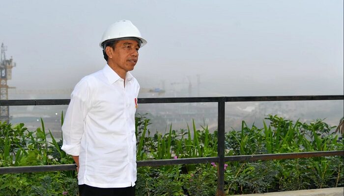 Presiden Jokowi Akan Ubah Rumput Laut Jadi Bioetanol