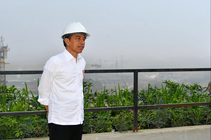 Presiden Jokowi Akan Ubah Rumput Laut Jadi Bioetanol
