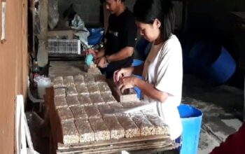 Para perajin tempe di Dukuh Gilingan Lor Desa Urut Sewu, Kecamatan Ampel, Kabupaten Boyolali menjerit akibat harga kedelai