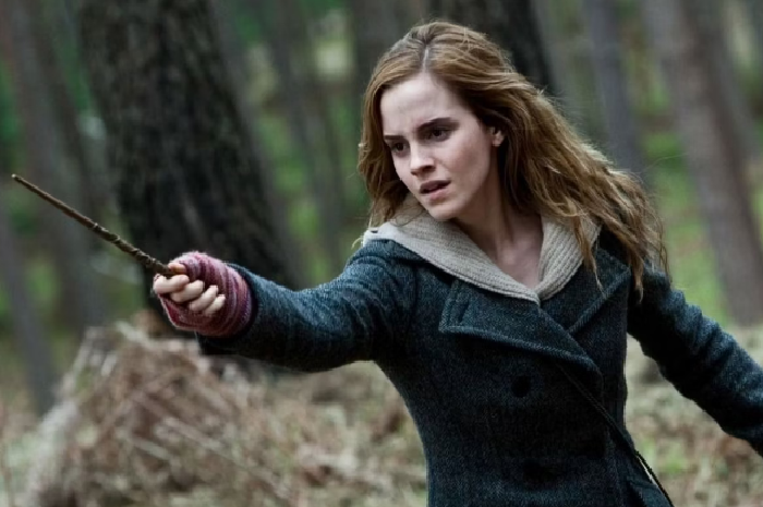 Rajin dan pekerja keras, Hermione Granger adalah pelajar paling pintar yang dulu pernah bersekolah di Hogwarts.