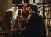 Fawkes Karekter Burung di Harry Potter