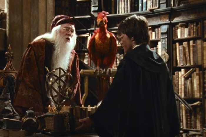 Fawkes Karekter Burung di Harry Potter