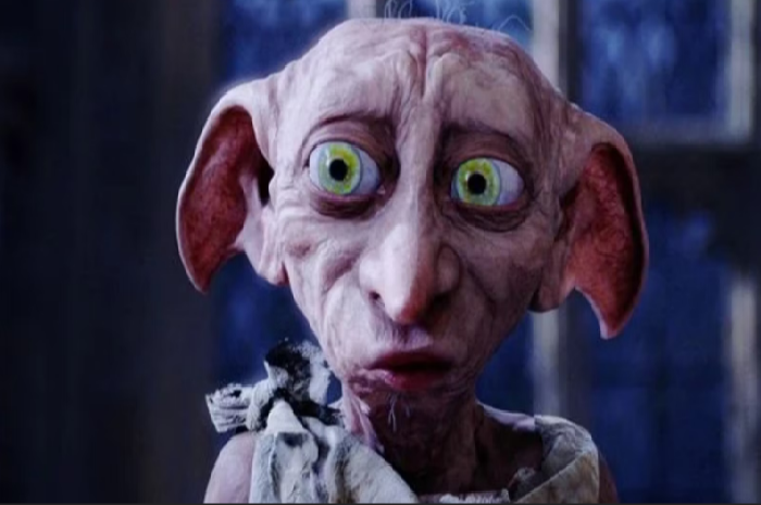 Dobby benci bekerja untuk keluarga Malfoy dan ingin menjadi peri bebas. Butuh trik dari Harry untuk membuat Lucius Malfoy membebaskan Dobby secara tidak sengaja.