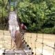 Warga Mambi Mamasa Harus Bertaruh Nyawa Saat Melewati Jembatan Gantung yang Nyaris Putus