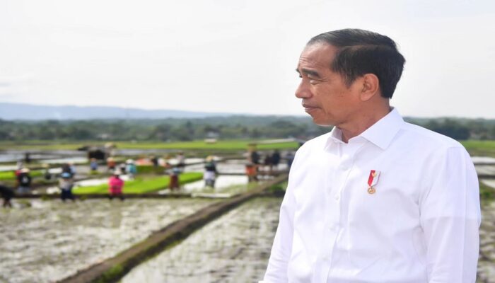 Dana Desa Bakal Naik, Jokowi Minta Akuntabilitas Terjaga