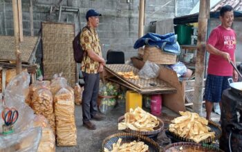 UNIMMA Magelang Gelar Pelatihan Digital Marketing