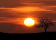 Tertidur di Tengah Keindahan: Arti Mimpi Menunggu Matahari Terbit