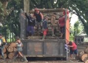 Diduga Abaikan Aturan, Perum Perhutani Banyuwangi Pekerjakan Buruh Tanpa Dilengkapi APD dan JKK