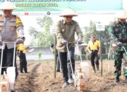 Pjs Bupati Blitar Hadiri Acara Tanam Perdana Program Ketahanan Pangan