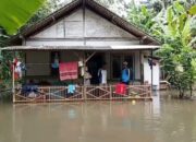 Hujan Deras 3 Hari, Empat Desa di Banyumas Terendam Banjir