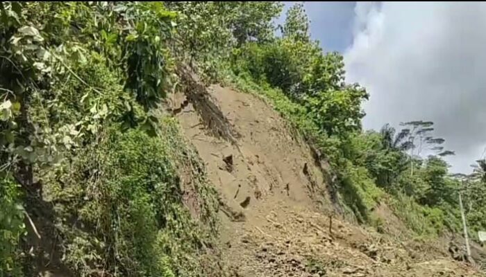 Longsor Tebing 30 Meter di Desa Bantarpanjang Cilacap Lumpuhkan Akses Dua Desa