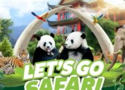 Dugaan Perbudakan Modern di Taman Safari Indonesia, Wamen Hukum dan Ham Kesulitan Awasi