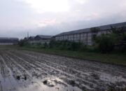 Diduga Langgar Zona Hijau, Pabrik Limbah B3 Berdiri di Lahan Sawah Produktif Jombok Jombang