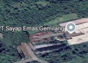 Diduga Keluarkan Bau Busuk, PT SEG Pabrik Bulu Ayam Di Jombang Disoal
