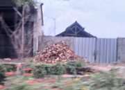 Pengusaha di Jombang Kebal Hukum? Warga Mengeluh, Limbah Beracun Dibakar Terang-terangan