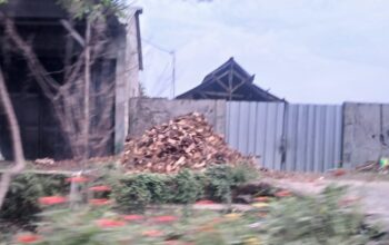 Pengusaha di Jombang Kebal Hukum? Warga Mengeluh, Limbah Beracun Dibakar Terang-terangan