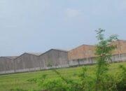 Bau Asap dari Pabrik Karet di Desa Segodorejo Jombang Bikin Resah Warga, Pemerintah Diminta Tindak