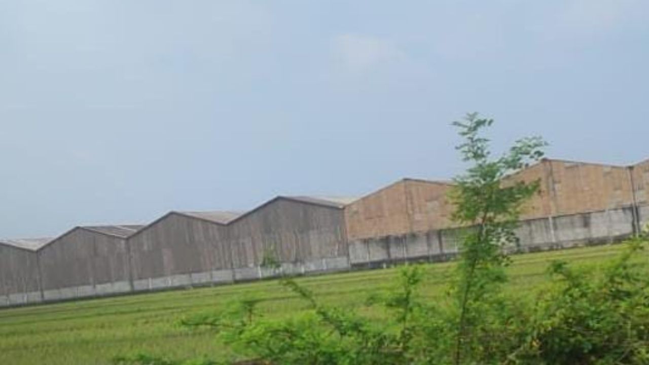 Bau Asap dari Pabrik Karet di Desa Segodorejo Jombang Bikin Resah Warga, Pemerintah Diminta Tindak